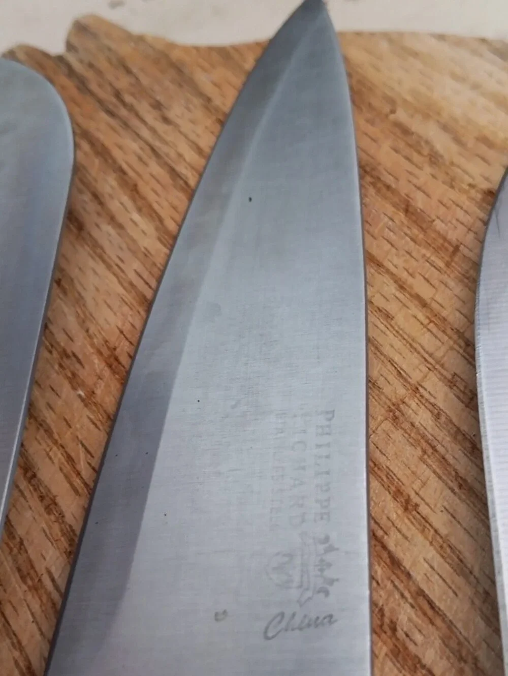 Philippe Richard 6-Piece Stainless Steel Knife Set with Satin Silver Handles